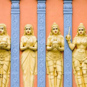 Shakti: a mulher no Tantra - Virginia Gaia