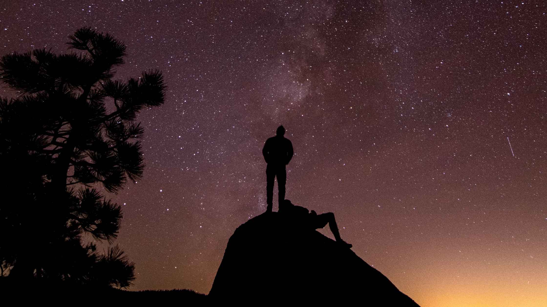 Astrologia Empresarial e Carreira